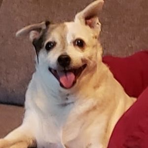Meet your Posher, Stacy